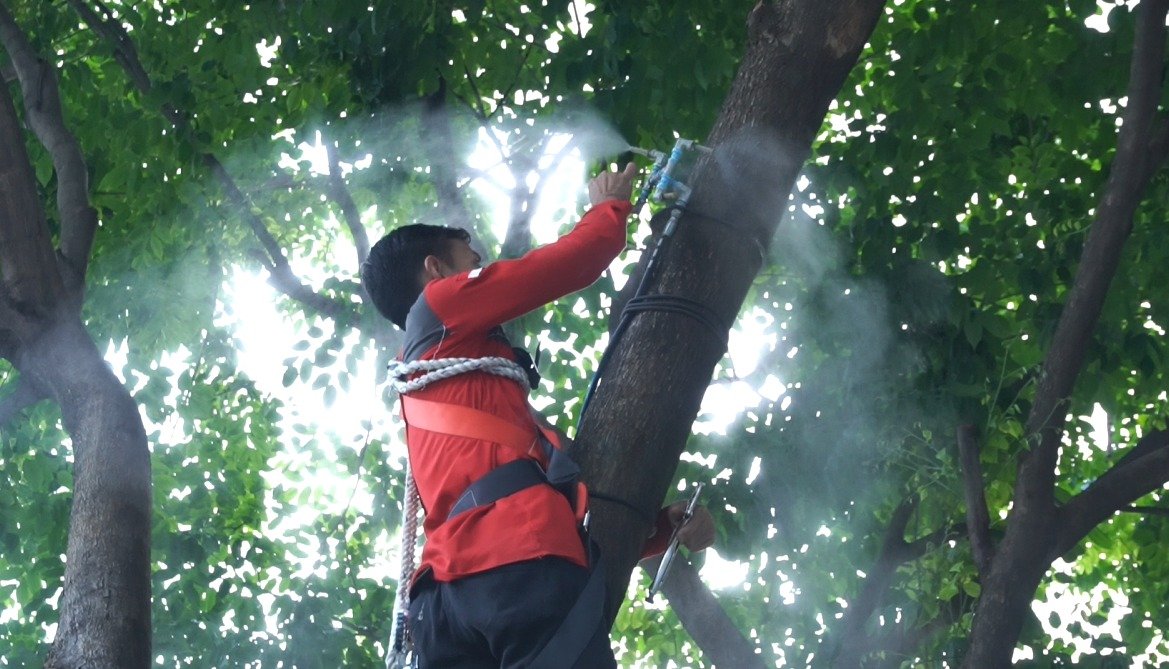 Proyek Untuk Misting